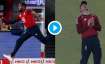 Chris Jordan, Suryakumar Yadav, Jason Roy, IND vs ENG, IND vs ENG 5th T20I