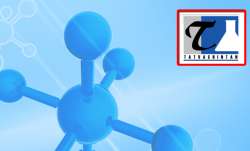 Tatva Chintan IPO allotment status, Tatva Chintan gmp 