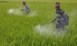 Best Agrolife, q1, Best Agrolife Q1 profit, Best Agrolife Q1 result, Best Agrolife Q1, Best Agrolife