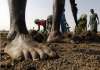 MGNREGA: In lowest ever hike, Centre revises wages by Re 1